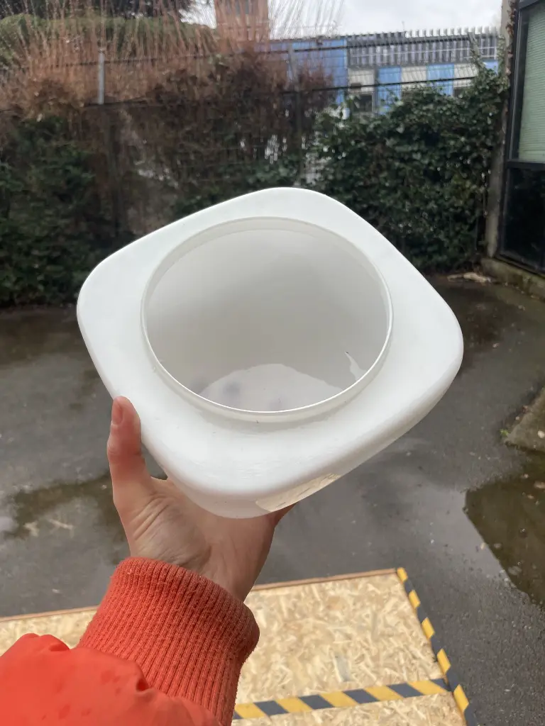 image - Camille This (38).webp