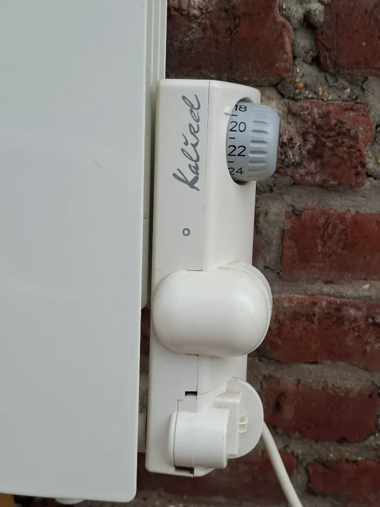 20260411_120848 - Farah Rasamoelina.webp