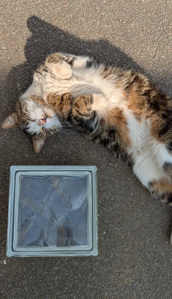 AS213 - Brique de verre nuage