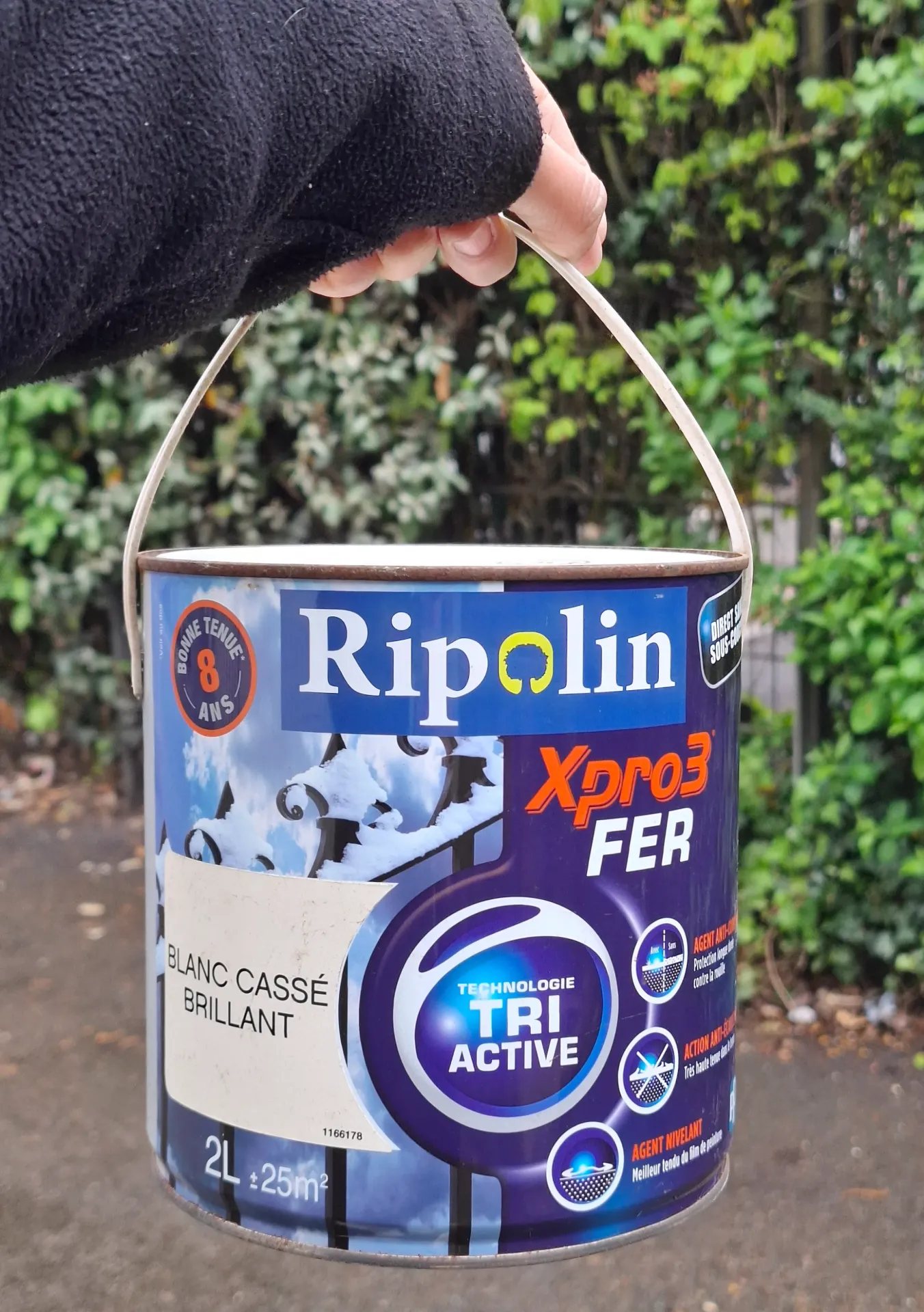 FR75 - Ripolin Peinture Acrylique Xpro3 extérieure fer