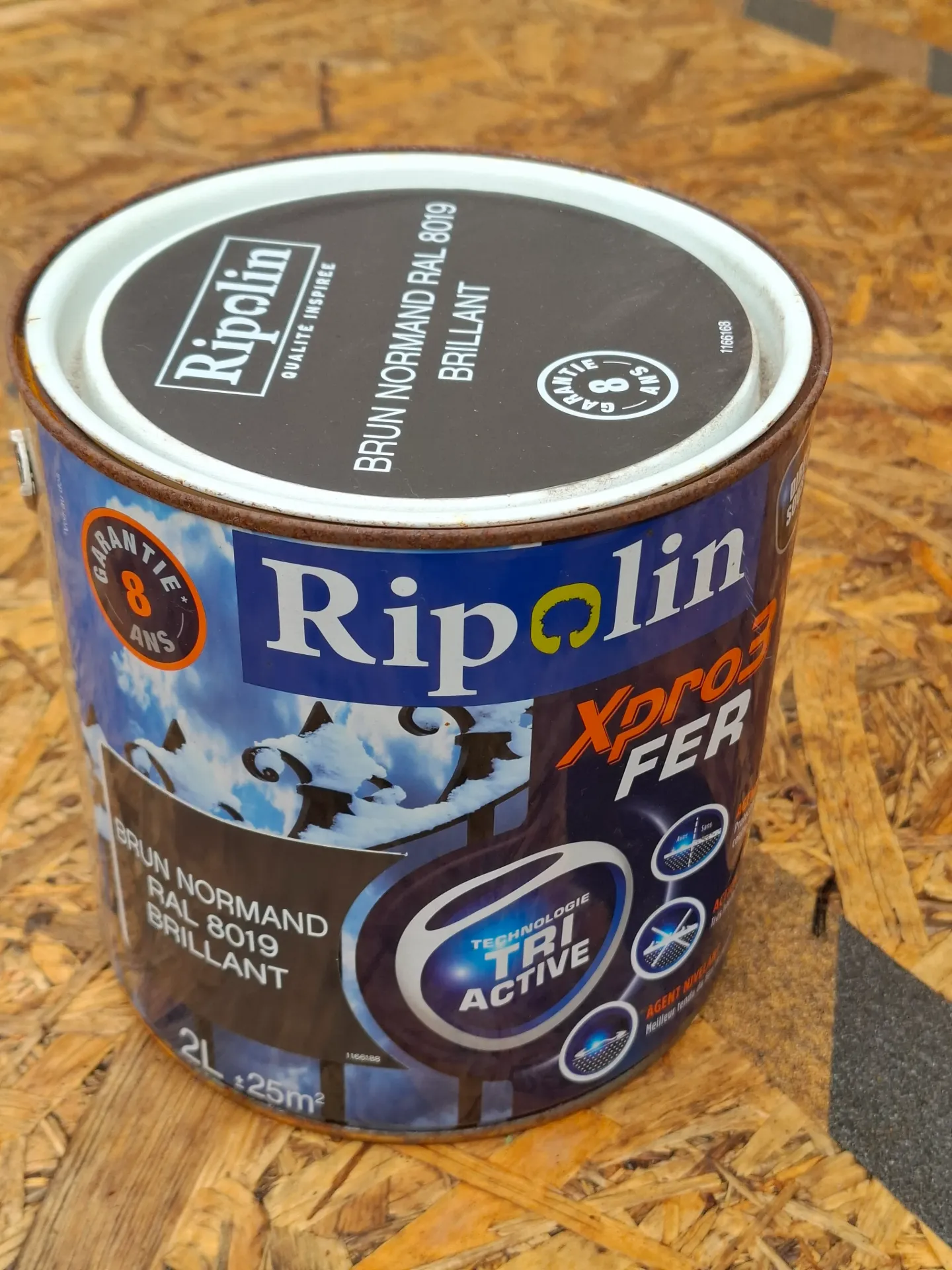 FR76 - Ripolin Peinture Acrylique Xpro3 extérieure fer