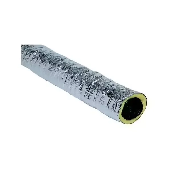 CT301 - Filet de 6am algaine isolée D160