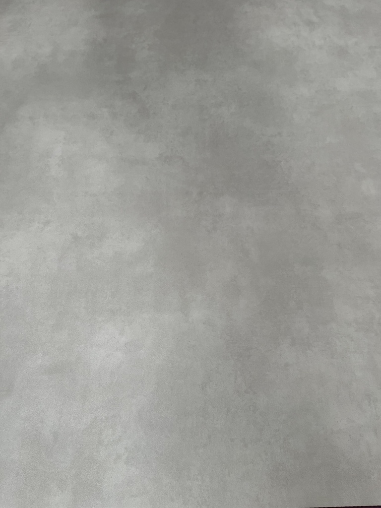 CT479 - Rouleau Lino gris clair - 6,5 m2