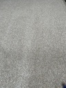 CT483 - Rouleau de moquette -7,5 m2