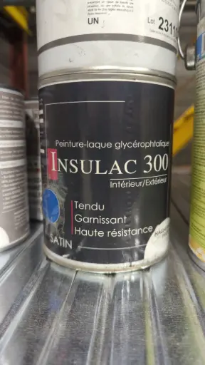 [CT54] CT54 - Peinture laque glycérophtalique 1L