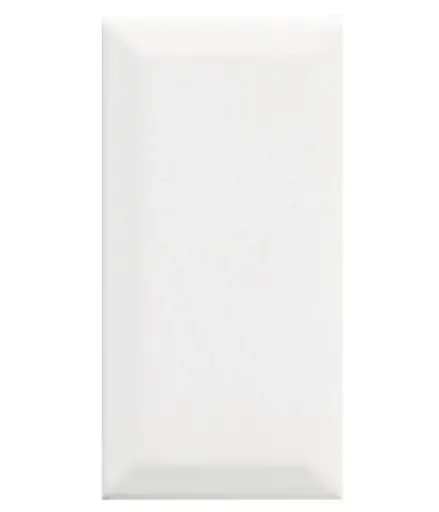 [TD05] TD05 - Faïence Blanche 7.5 X 15 